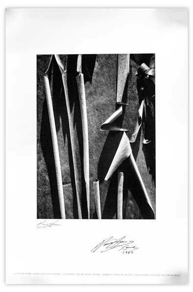 Ansel Adams Signed Poster of His Photograph, ''Madrone Bark, Santa Cruz Mountains, California''
